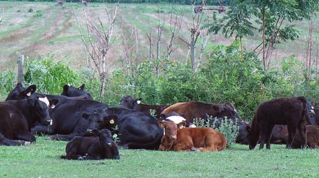 Name:  lawnMow.jpg
Views: 464
Size:  57.0 KB