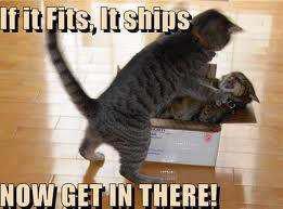 Name:  fitsships.jpg
Views: 563
Size:  11.5 KB