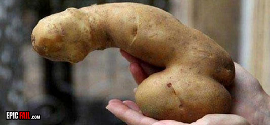 Name:  potato.jpg
Views: 938
Size:  39.6 KB
