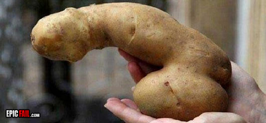 Name:  potato.jpg
Views: 1043
Size:  39.6 KB