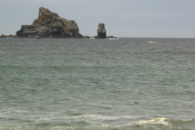 Name:  24-IMG_8092.JPG
Views: 461
Size:  159.2 KB