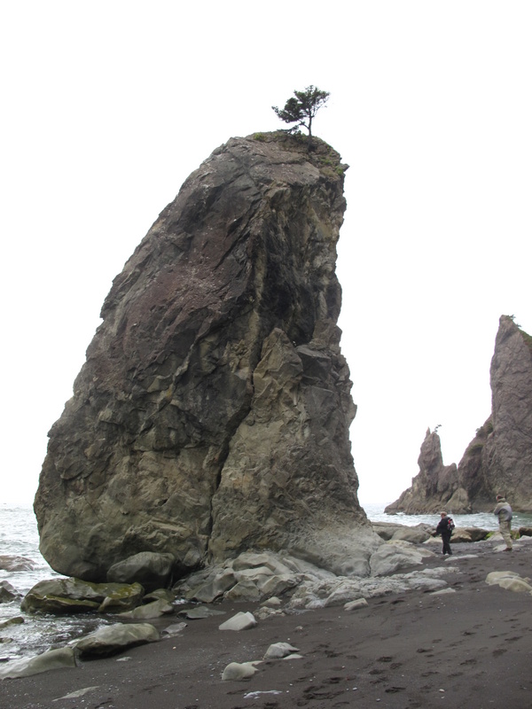 Name:  28-IMG_8139.JPG
Views: 477
Size:  142.5 KB