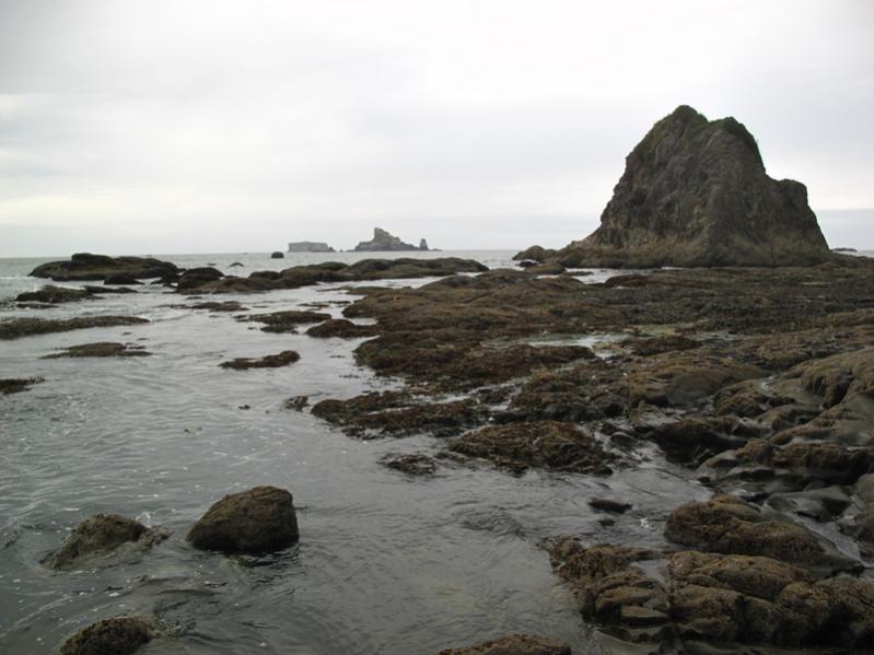 Name:  33-IMG_8161.jpg
Views: 459
Size:  57.8 KB