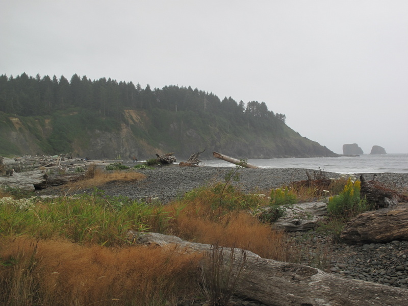 Name:  41-IMG_8238.JPG
Views: 495
Size:  169.1 KB