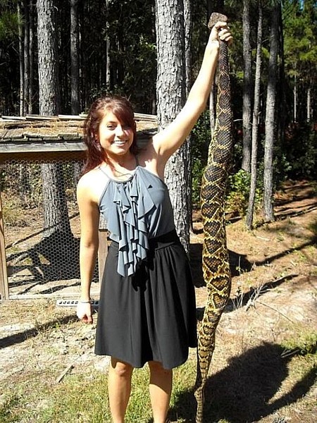 Name:  sixfootrattlesnake.jpg
Views: 1794
Size:  133.5 KB