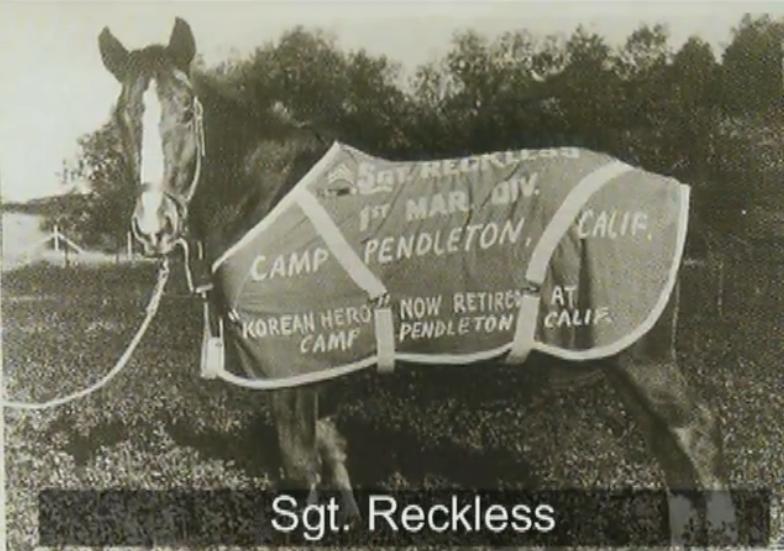 Name:  SgtReckless.jpg
Views: 8457
Size:  58.8 KB