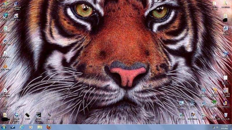 Name:  wallpapurr.jpg
Views: 341
Size:  94.8 KB
