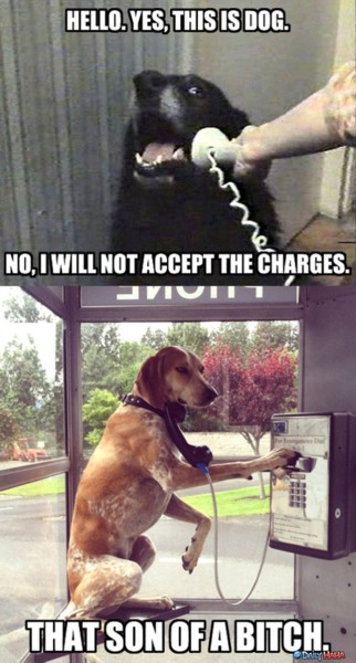 Name:  will-not-accept.jpg
Views: 671
Size:  62.6 KB