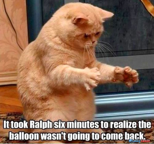 Name:  took-ralph-a-while.jpg
Views: 655
Size:  73.8 KB