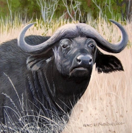 Name:  water_buffalo.jpg
Views: 1955
Size:  152.3 KB