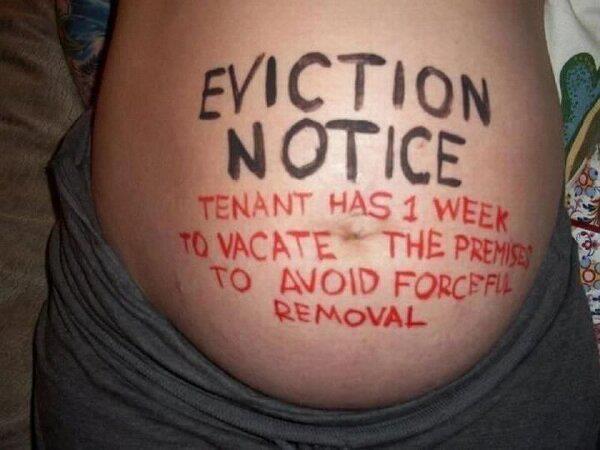 Name:  eviction notice.jpg
Views: 169
Size:  36.2 KB