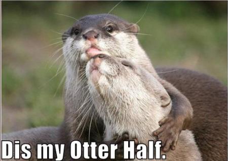 Name:  other-half.jpg
Views: 690
Size:  23.8 KB
