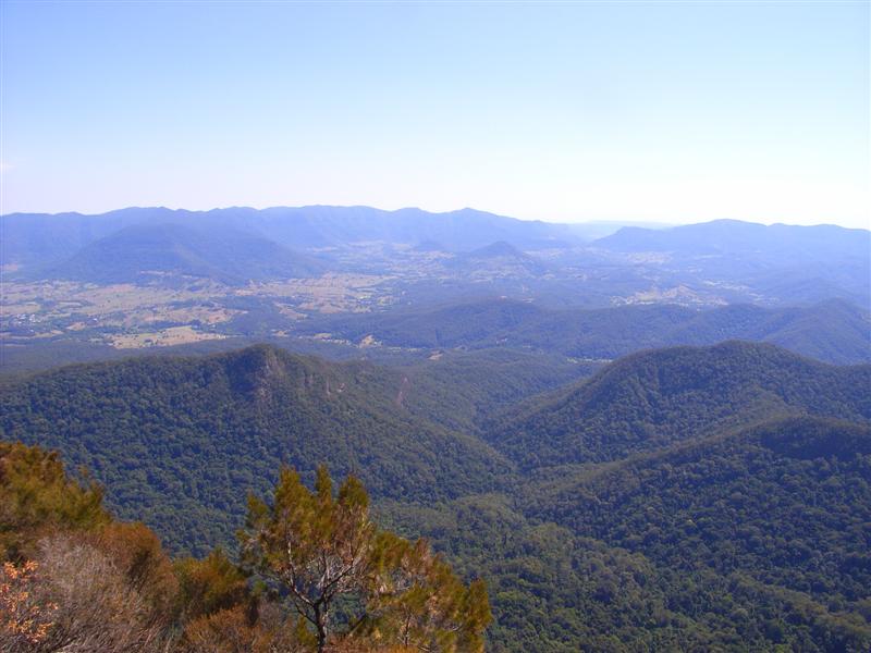 Name:  RIMG0140 (Medium).JPG
Views: 252
Size:  70.3 KB