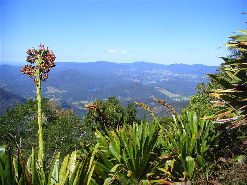 Name:  RIMG0150 (Medium).JPG
Views: 236
Size:  103.3 KB