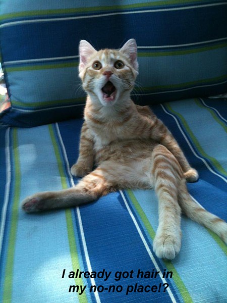 Name:  omg.jpg
Views: 665
Size:  73.0 KB