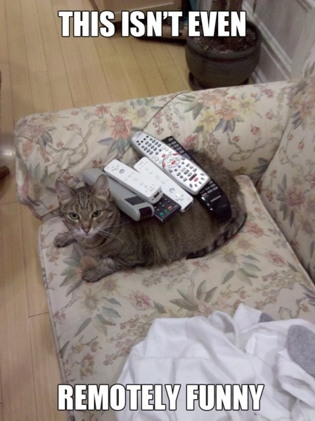 Name:  9536.jpg
Views: 678
Size:  67.5 KB