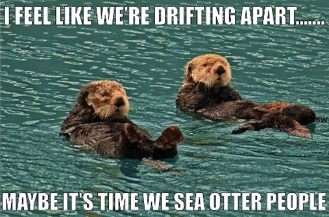 Name:  otters.jpg
Views: 1970
Size:  62.8 KB