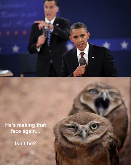 Name:  he's making that face.jpg
Views: 467
Size:  46.4 KB