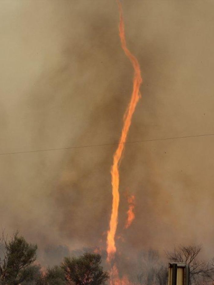 Name:  fire devil.jpg
Views: 1447
Size:  39.9 KB