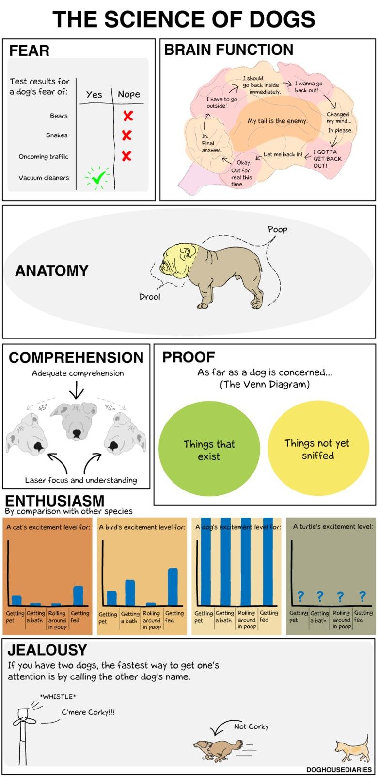 Name:  Dog Science.jpg
Views: 605
Size:  169.3 KB