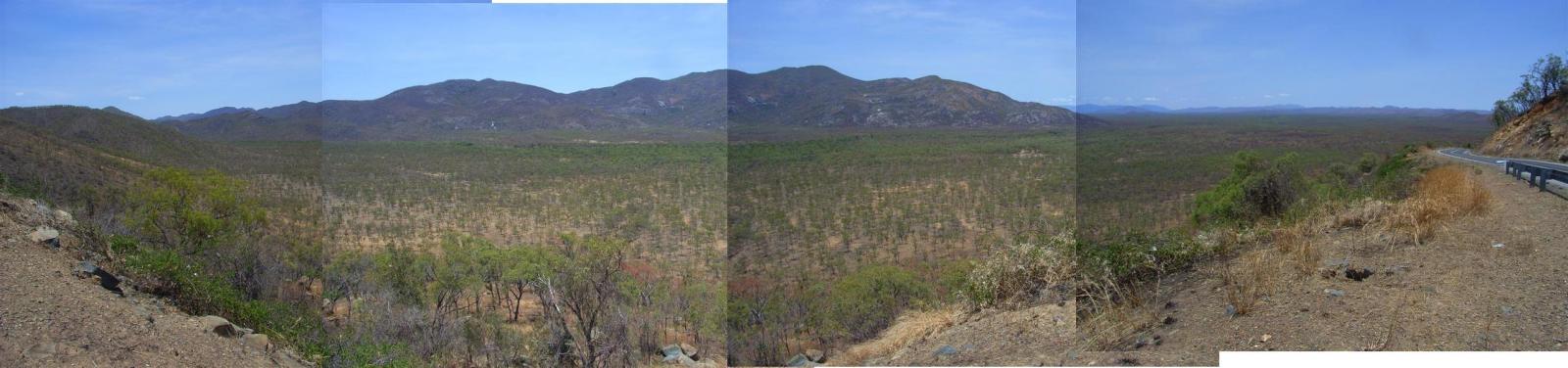 Name:  Savanah panorama.jpg
Views: 222
Size:  93.7 KB