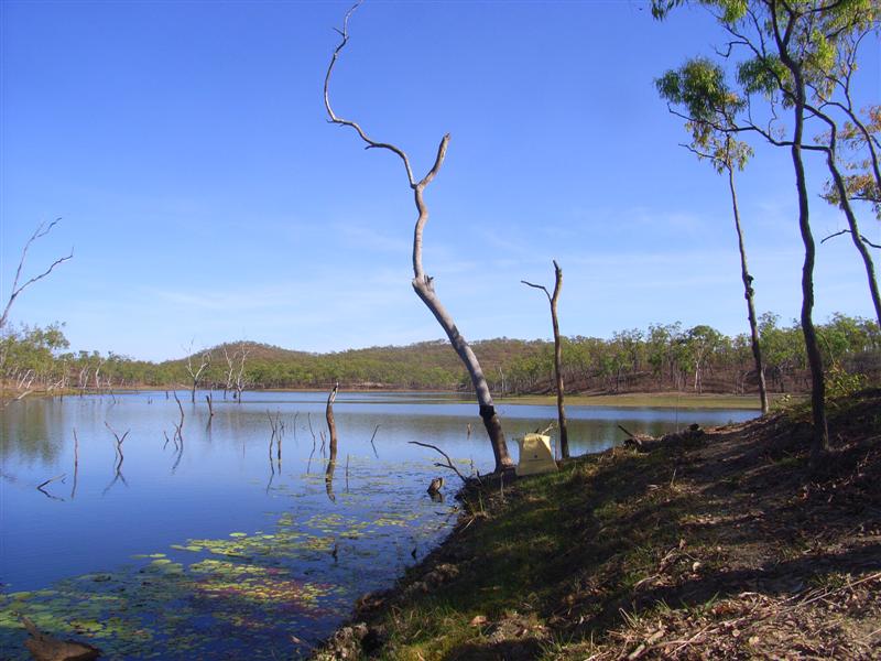 Name:  lakeside.jpg
Views: 169
Size:  78.7 KB