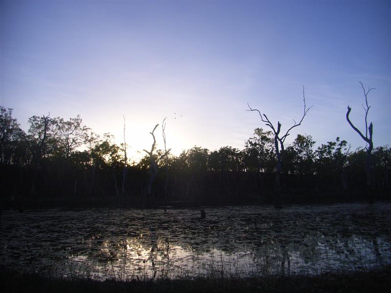 Name:  Dawn Twilight.JPG
Views: 163
Size:  64.5 KB