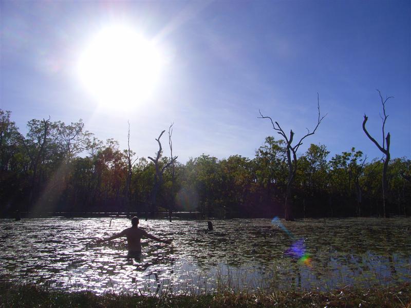 Name:  Eclipse swim.jpg
Views: 186
Size:  79.1 KB