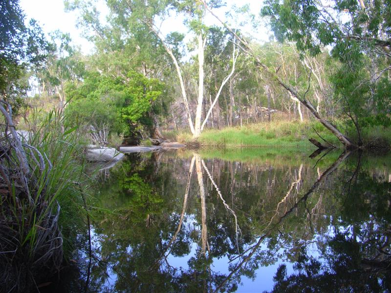 Name:  lake.JPG
Views: 251
Size:  130.8 KB