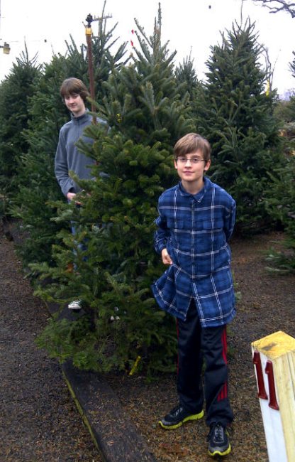 Name:  tree.jpg
Views: 490
Size:  70.7 KB