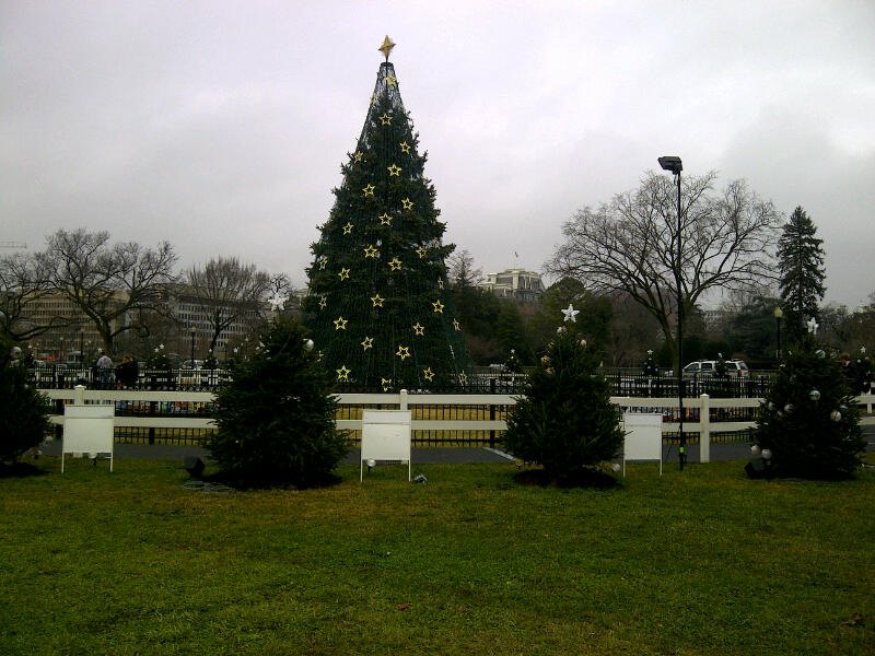 Name:  tree.jpg
Views: 476
Size:  98.9 KB