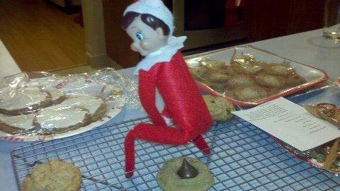 Name:  cookies.jpg
Views: 614
Size:  29.6 KB