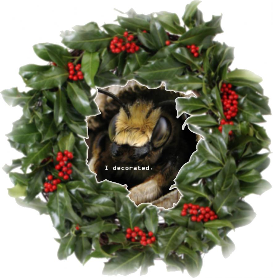 Name:  I decorated.jpg
Views: 317
Size:  80.3 KB