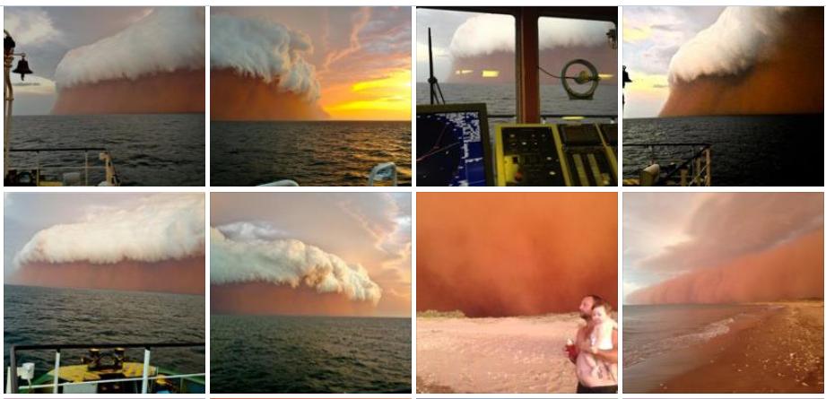 Name:  Duststorms.JPG
Views: 1044
Size:  55.7 KB