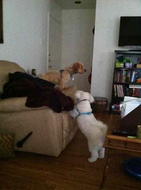 Name:  ImageUploadedByTapatalk1358573279.814597.jpg
Views: 430
Size:  33.1 KB