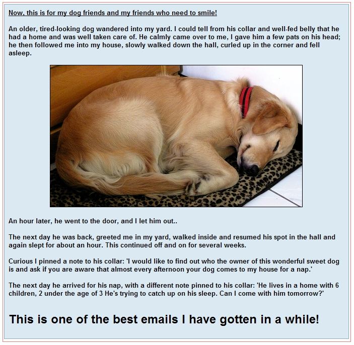 Name:  email.JPG
Views: 260
Size:  113.0 KB