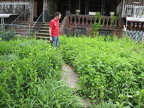 Name:  weedy.jpg
Views: 378
Size:  110.7 KB
