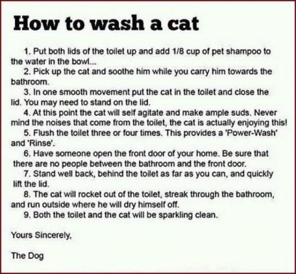 Name:  How_To_Wash_A_Cat.jpg
Views: 610
Size:  71.7 KB