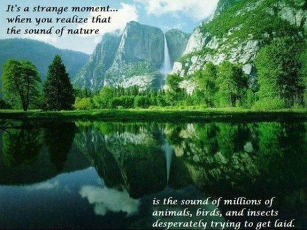 Name:  Nature976.jpg
Views: 1121
Size:  67.0 KB