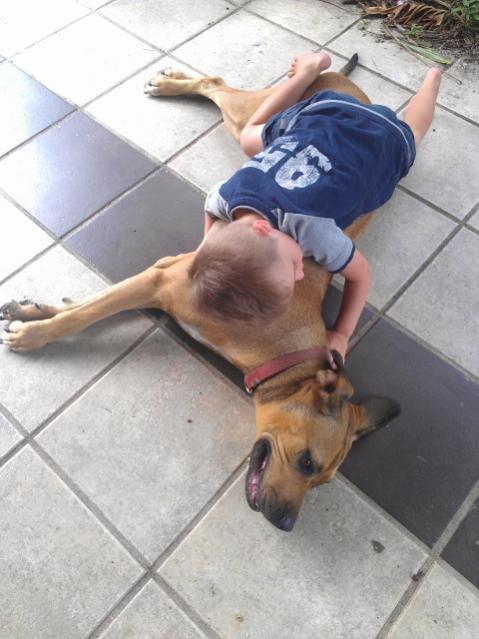 Name:  IMAG1039 (480x640).jpg
Views: 1829
Size:  43.5 KB