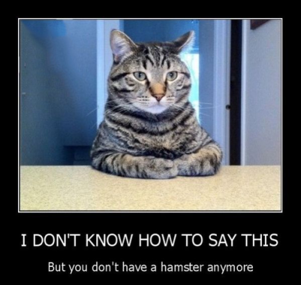 Name:  i-dont-know-how-to-say-it.jpg
Views: 466
Size:  60.2 KB
