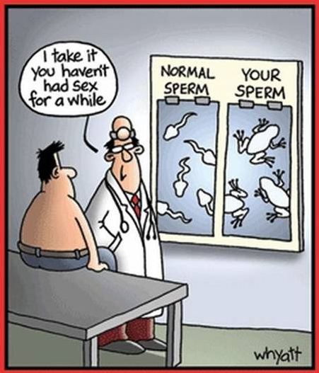 Name:  sex.JPG
Views: 708
Size:  52.8 KB