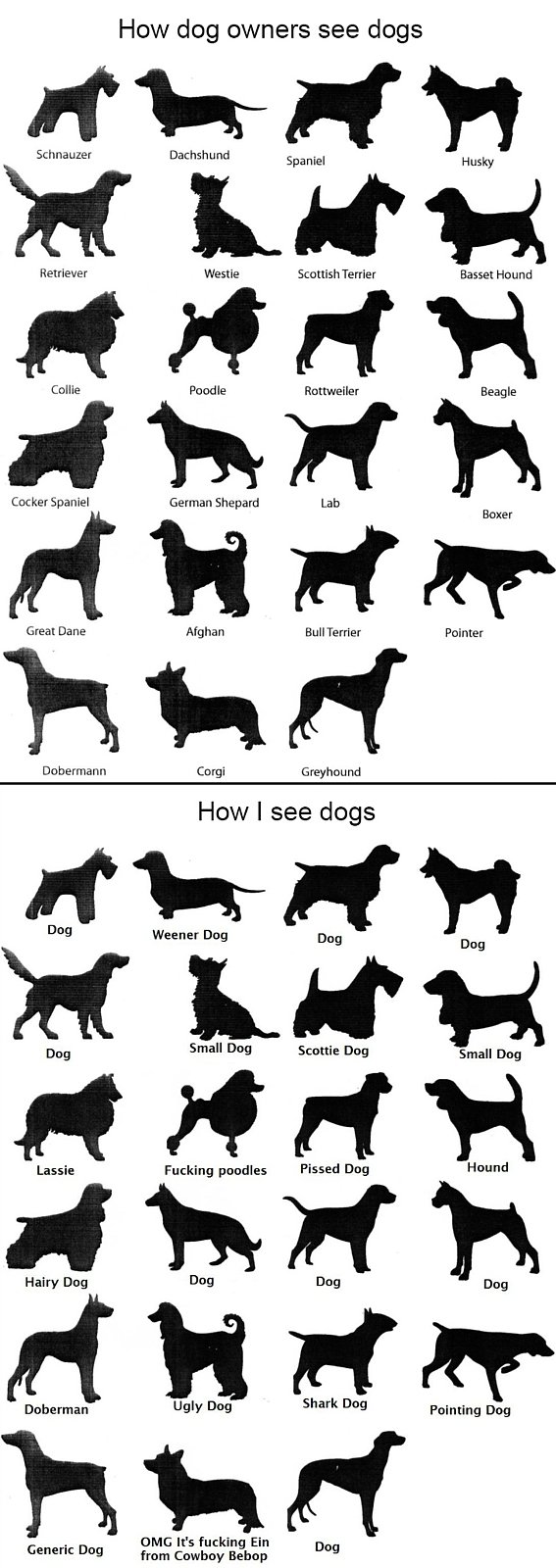 Name:  Prefix_11dogs1Suffix.jpg
Views: 493
Size:  154.2 KB