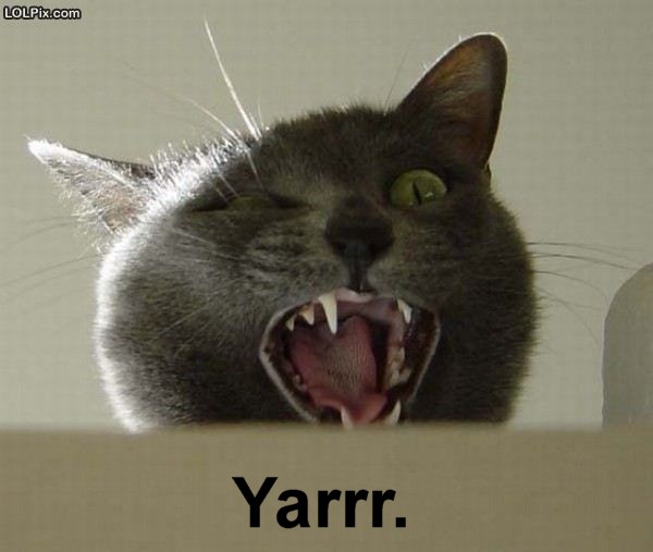 Name:  yarr.jpg
Views: 457
Size:  42.6 KB