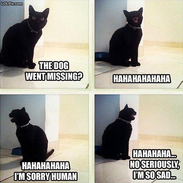 Name:  dogmissing.jpg
Views: 456
Size:  66.9 KB