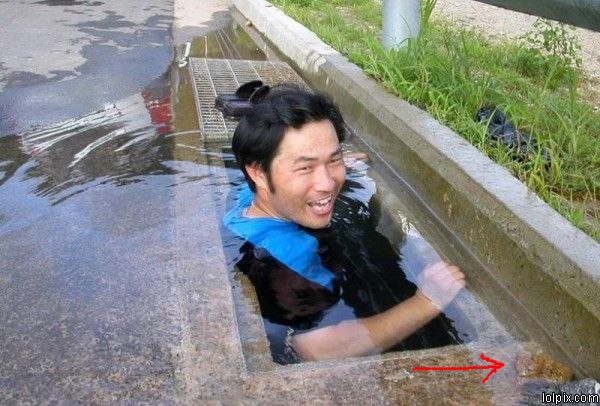 Name:  shitwater diving.jpg
Views: 1461
Size:  81.6 KB
