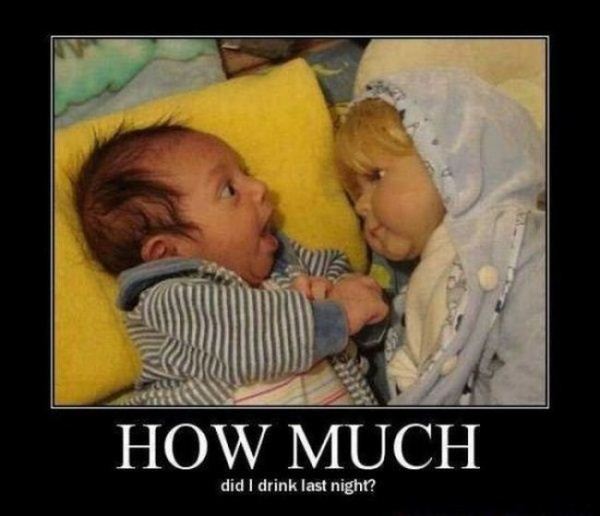 Name:  How_Much.jpg
Views: 484
Size:  39.6 KB
