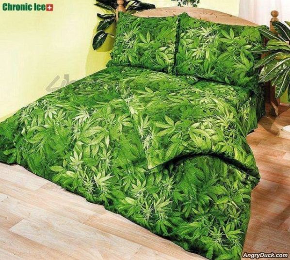 Name:  For_Enthusiasts.jpg
Views: 412
Size:  90.9 KB