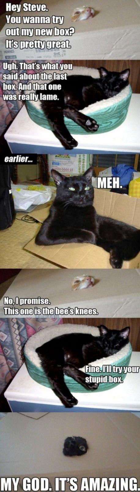 Name:  New_Box.jpg
Views: 501
Size:  103.0 KB
