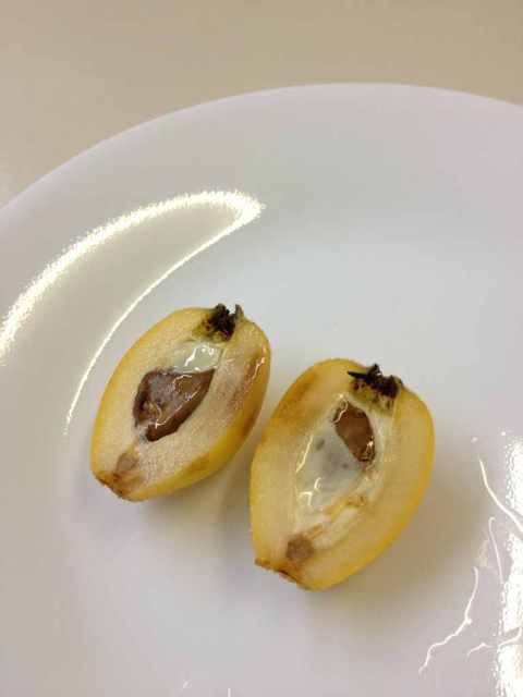 Name:  ImageUploadedByTapatalk1364941294.809396.jpg
Views: 173
Size:  23.0 KB